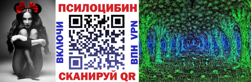 купить закладку  Усть-Джегута  Галлюциногенные грибы GOLDEN TEACHER 